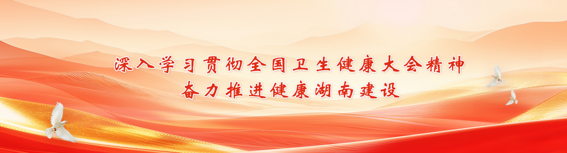 深入学习贯彻全国卫生健康大会精神 奋力推进健康湖南建设
