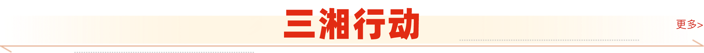 三湘行动 基层动态，惠民实事，先进典型